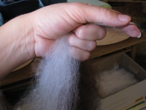 Yarn - Deep roots, spinning Marcello Tuscany