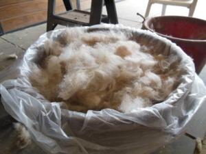 Prime fleece - yes sir, yes sir, one bag full