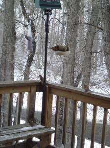 ???????????????????????????????