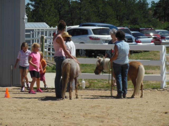 Children Meet the Minis