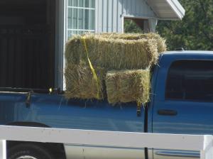 Truck and Hay